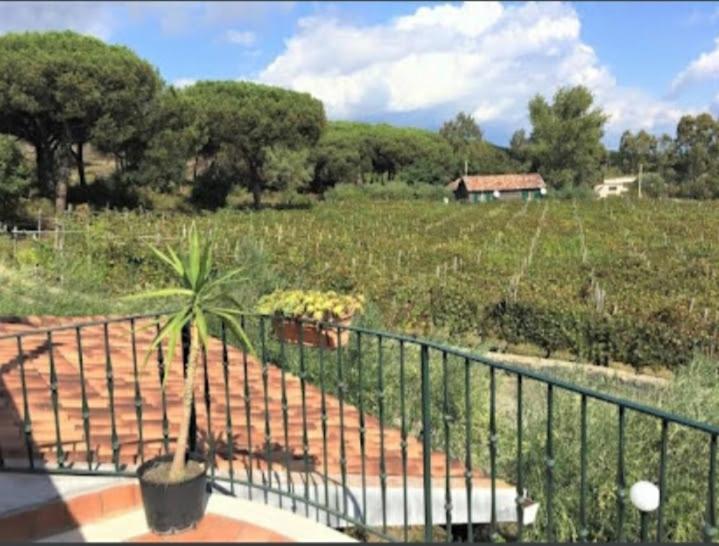 Beb Casale Pompei Rendine Villa Boscotrecase Dış mekan fotoğraf