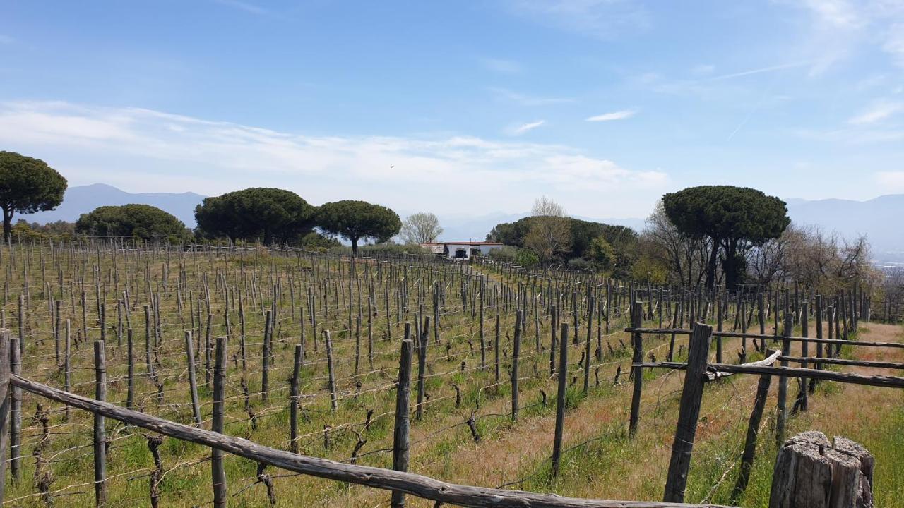 Beb Casale Pompei Rendine Villa Boscotrecase Dış mekan fotoğraf