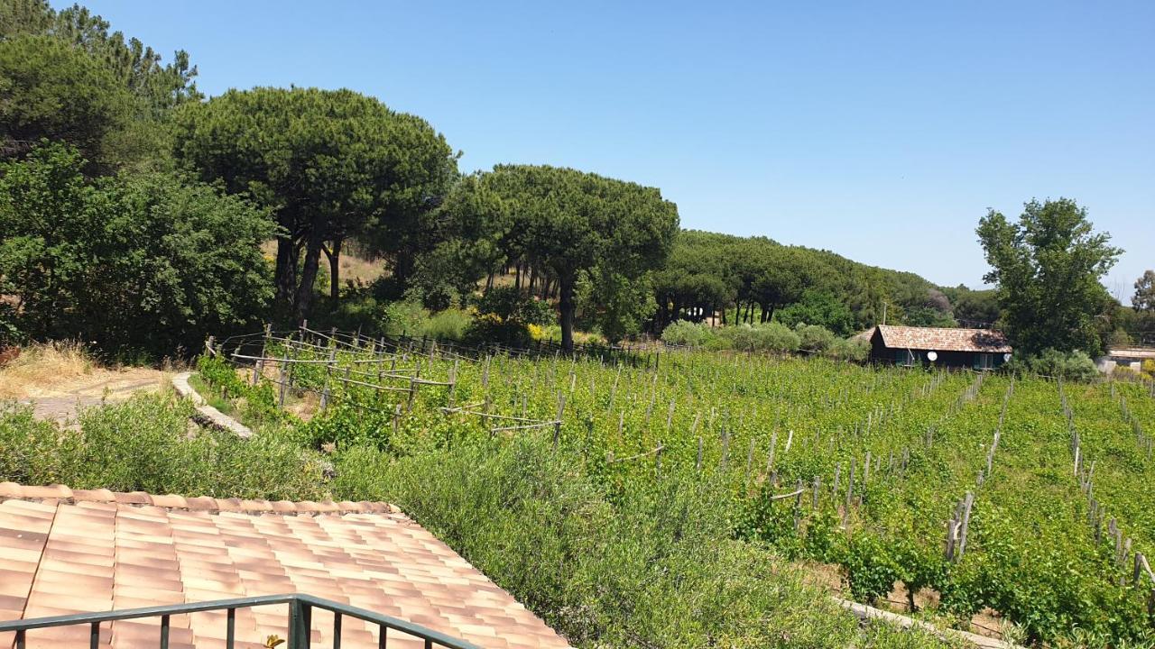Beb Casale Pompei Rendine Villa Boscotrecase Dış mekan fotoğraf