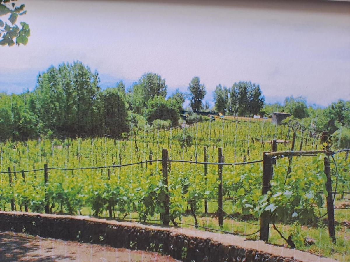 Beb Casale Pompei Rendine Villa Boscotrecase Dış mekan fotoğraf